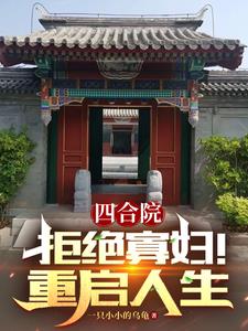 四合院:我绝不接锅